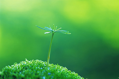 ����ȩ��ԭ����ʲô