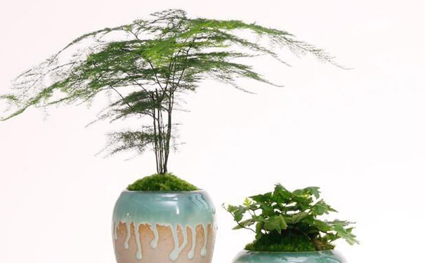 �·��b�ތ�(du��)����ȩ�����࣬�ķN��ʽ��ϸ�