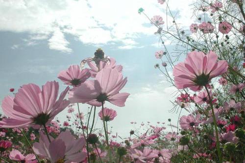 �·���γ���ȩ��2��С���и㶨