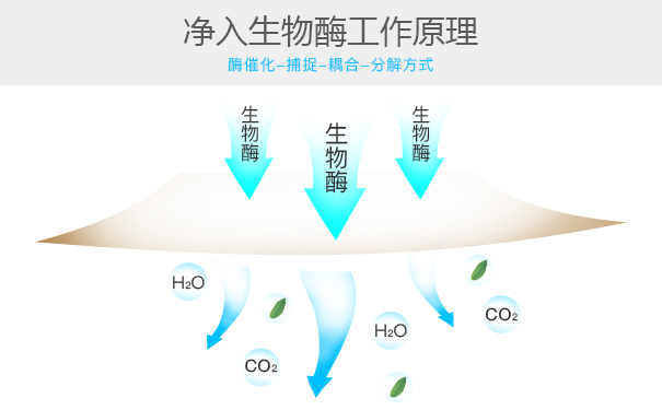 如何全面去除室內甲醛污染? 如何全面去除室內甲醛污染?