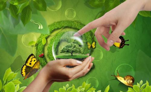 治理甲醛保健康,每一個(gè)人都不能忽視 治理甲醛保健康,每一個(gè)人都不能忽視