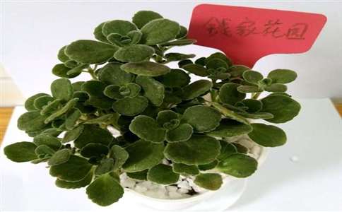 ��ͯ�Ҿ߼�ȩ߀����ҲҪע��