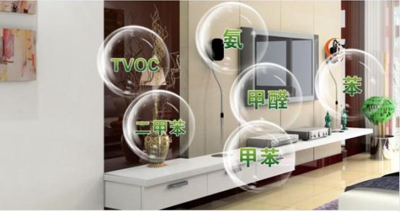 ����ȩ�����