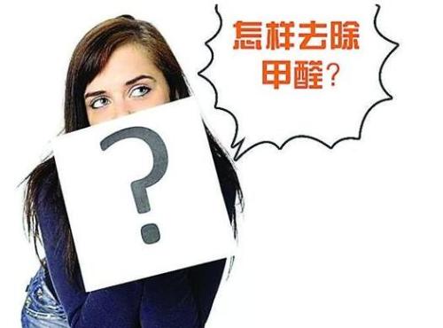 除甲醛公司怎么除甲醛