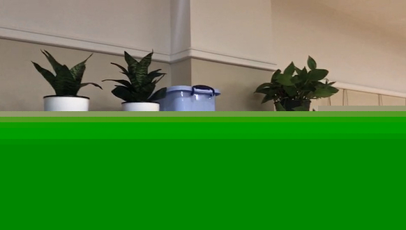 �׃��@�b�޺���L��(d��n)�ļ�ȩ��Ⱦ 2�Ιz�y(c��)�Y(ji��)���s��ͬ