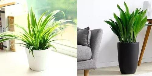 1582721833168642.jpg 8c1001e93901213fe340459d722088d52e2e954f.jpg