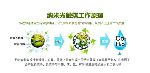 ��������ȩ