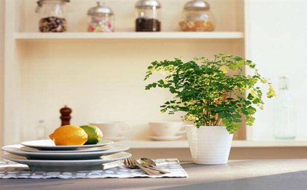 �b������ô����ȩ,Ҫ���,ע���������Щ��D