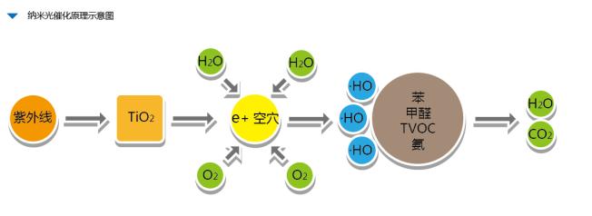 ���|ý����ȩԭ��D