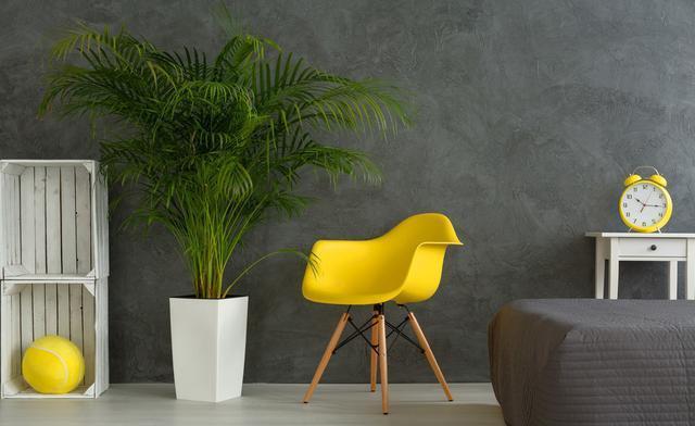 �}�����ȩ��˾