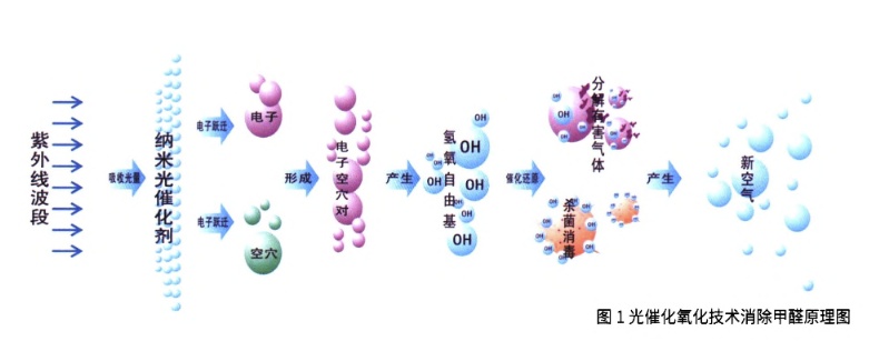 ���|ý����ȩ