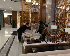 ������ȩ