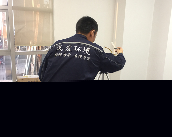武漢除甲醛廠家