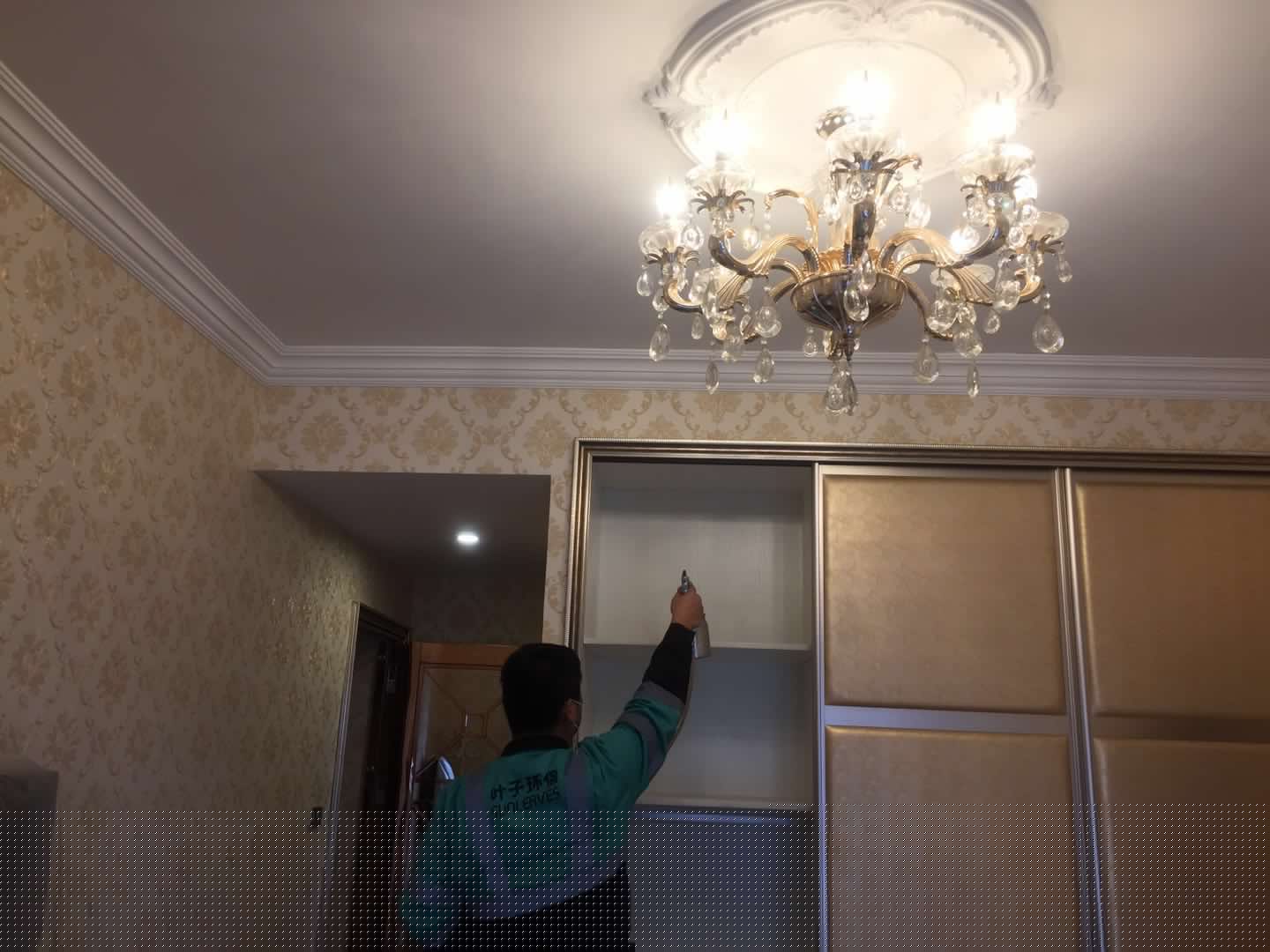 ����ȩ����