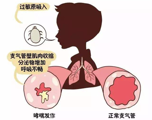 �҃ȿ՚��|�����^�������x���m���^�����G�������h��