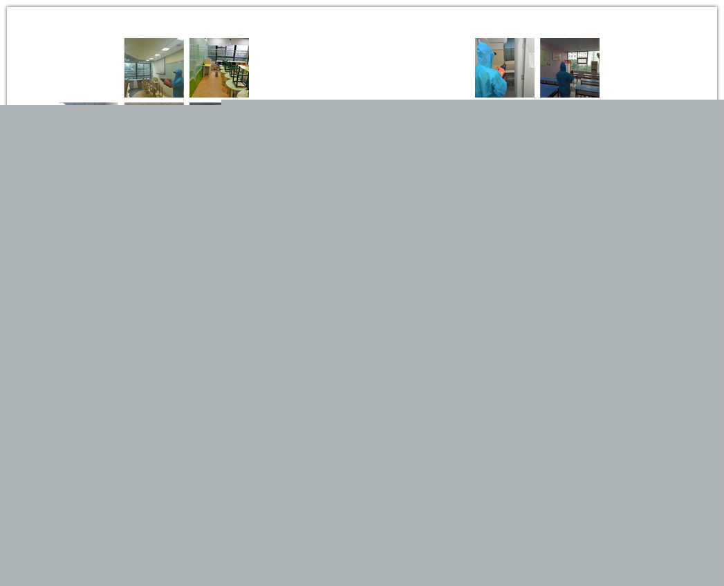 �����C������