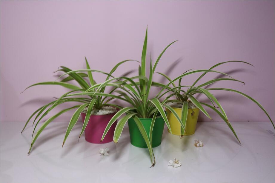 ��h����ȩ���҃ȿ՚����̎��