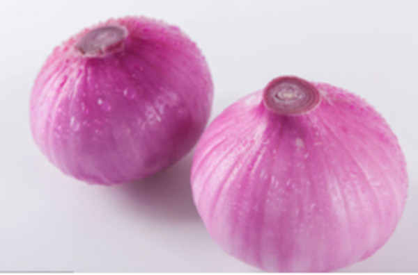 ��ȩȥ����������γ���ȩ����ȩ�����x�����[����ȩ�����I�����������G������