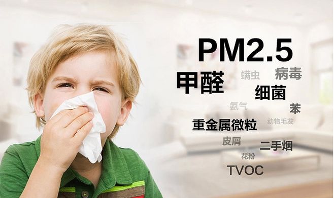 1547804399602136.jpg 武漢除甲醛