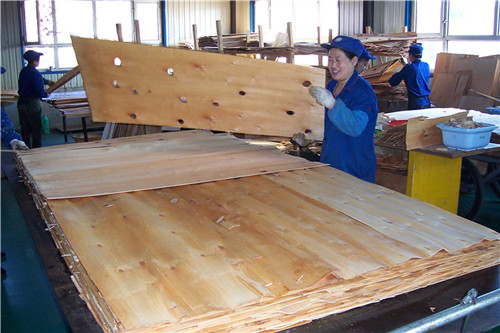 ��ȩ����(bi��o)