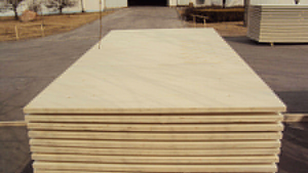 �����ļ�ȩ��Դ